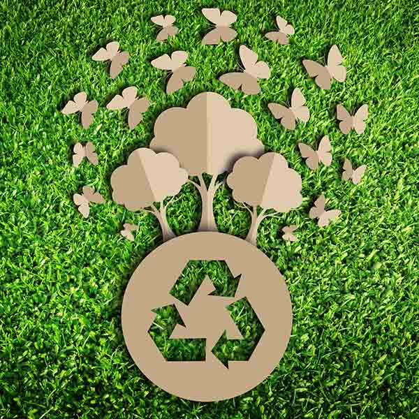 papelmatic-higiene-professional-diferencia-paper-reciclat-paper-ecologic-reciclat