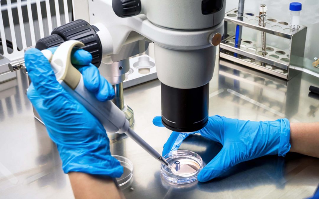 papelmatic higiene profesional muestreo biofilms muestra deteccion