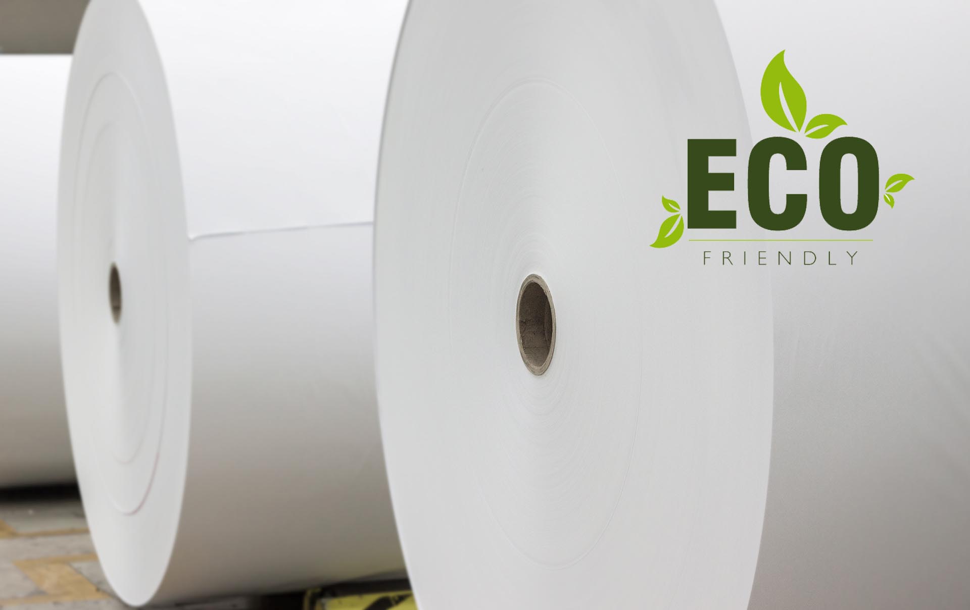 PAPEL ECOLÓGICO  Tipos y diferencia con papel reciclado