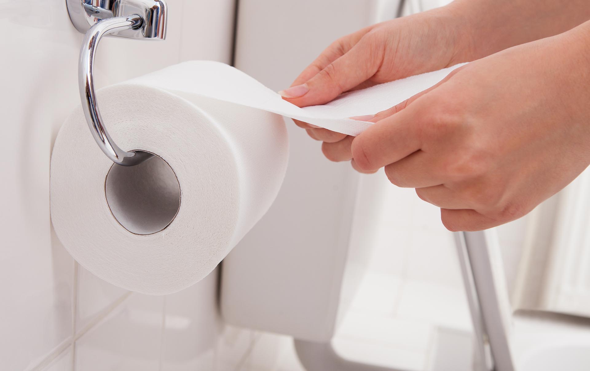 sufrir adverbio Por ley Guía completa para comprar papel higiénico | Papelmatic