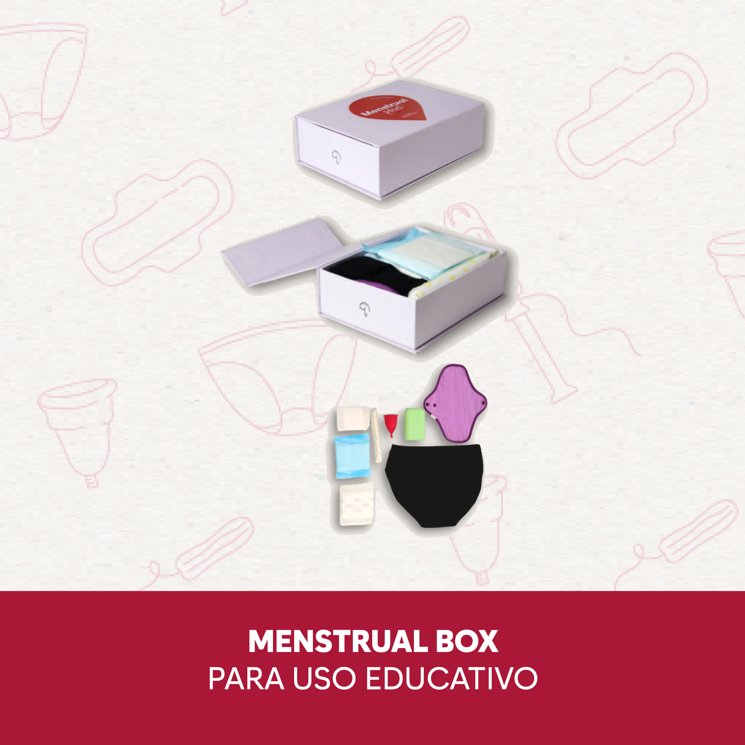 papelmatic-higiene-profesional-guia-para-comprar-productos-higiene-menstrual-point-menstrual-box