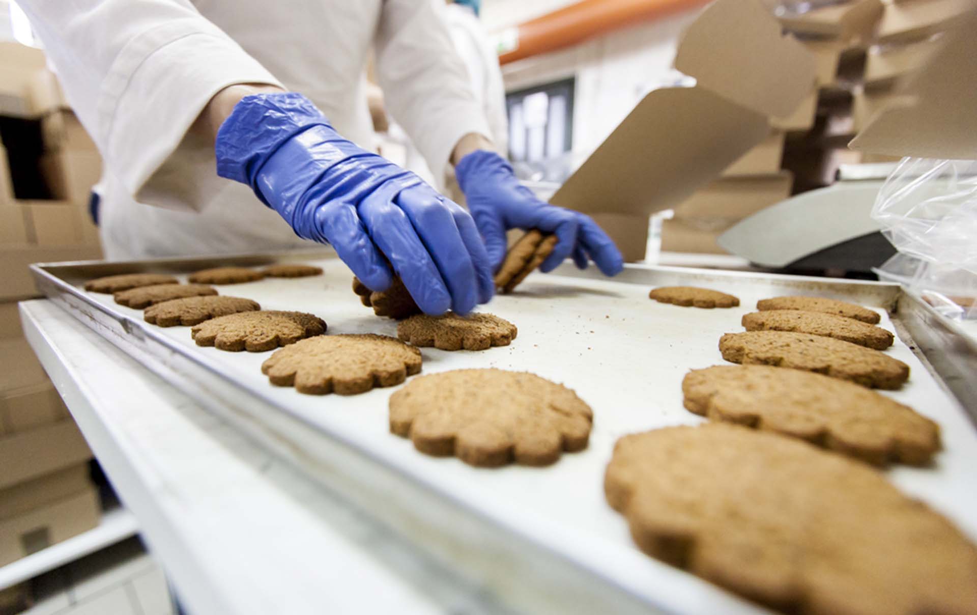 Guía para la detección y eliminación de biofilms