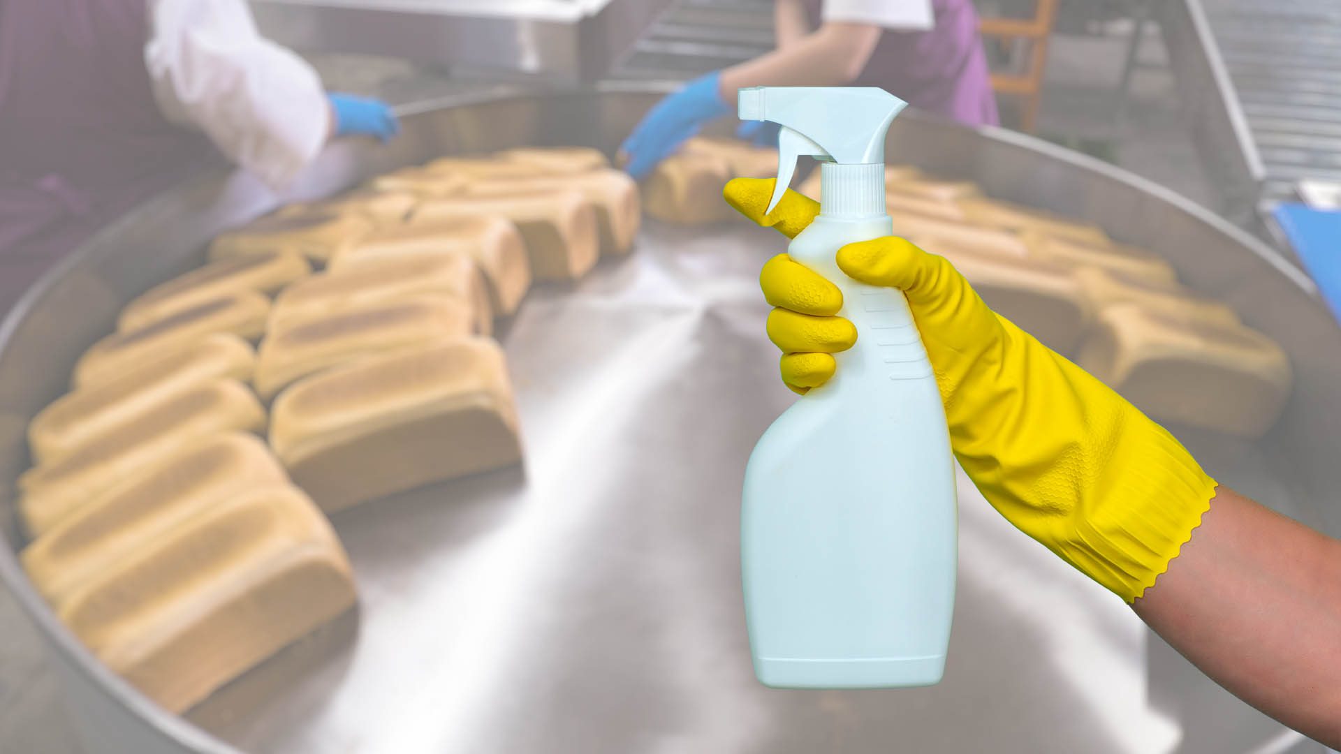 Requisitos de los desinfectantes para la industria alimentaria