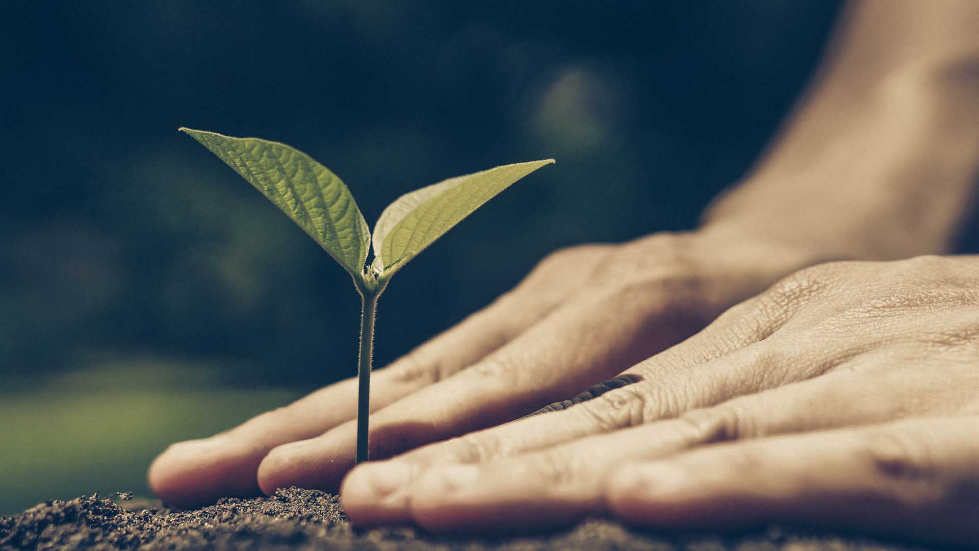 ¿Qué hacemos para reducir nuestro impacto ambiental?