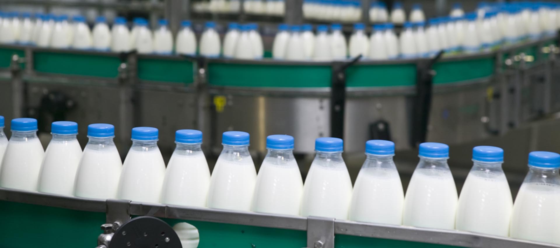 Aplicaciones y fases del sistema APPCC en la industria alimentaria